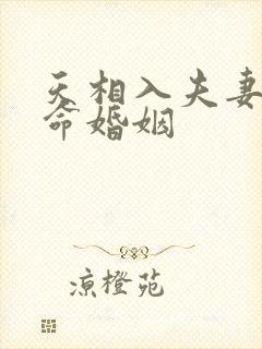 天相入夫妻宫男命婚姻