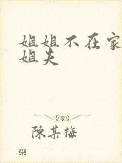 姐姐不在家我和姐夫