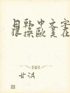 日韩中文字幕狠狠操欧美在线
