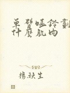 单臂哑铃划船练什么肌肉