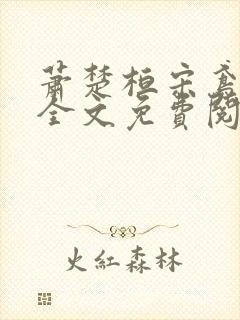 萧楚桓宋鸢小说全文免费阅读