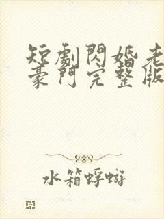 短剧闪婚老公是豪门完整版