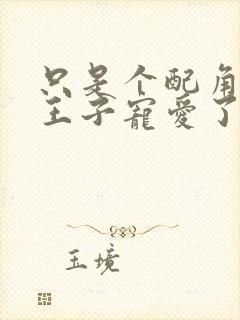 只是个配角却被王子宠爱了