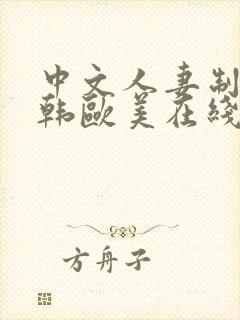 中文人妻制服日韩欧美在线