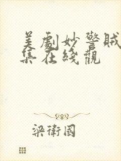 美剧妙警贼探全集在线观封面