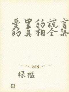 爱里的谎言仇恨的真相全集免费