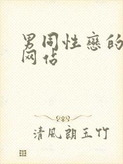 男同性恋的视频网站