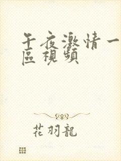 午夜激情一区二区视频