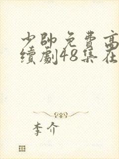 少帅免费高清连续剧48集在线观看