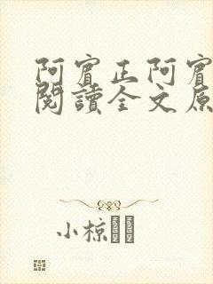 阿宾正阿宾正传阅读全文原文