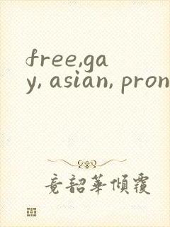 free,gay, asian, pron封面