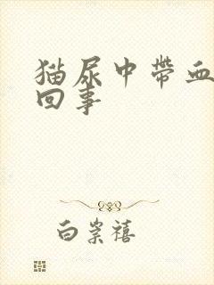 猫尿中带血怎么回事