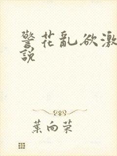 警花乱欲激情小说