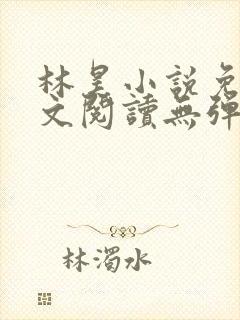 林昊小说免费全文阅读无弹窗