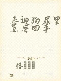 泰迪狗尿里有血怎么回事封面