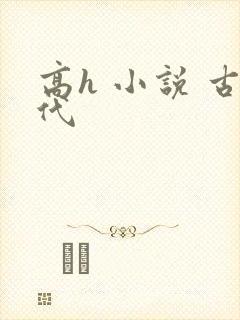 高h 小说 古代