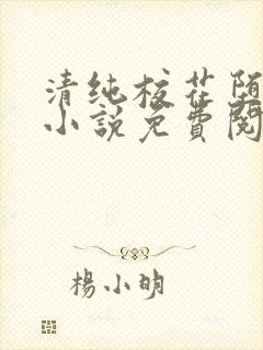 清纯校花堕落记小说免费阅读allimine