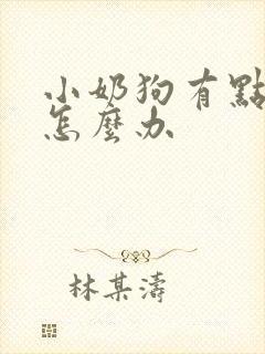 小奶狗有点拉稀怎么办