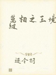 万相之王境界等级