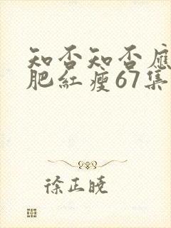 知否知否应是绿肥红瘦67集