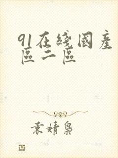 91在线国产一区二区