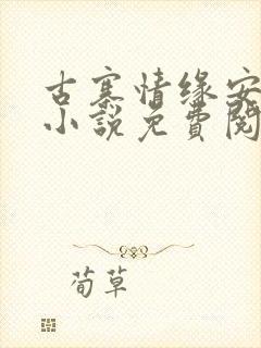 古寨情缘安壮壮小说免费阅读