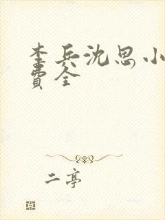 李兵沈思小说免费全