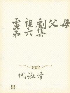 电视剧父母爱情第六集封面