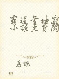 霸道爹地宠又撩小说免费阅读