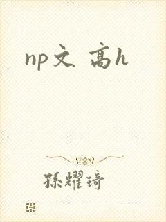 np文 高h封面
