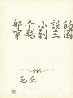 哪个小说的主角穿越到三国成为了封面