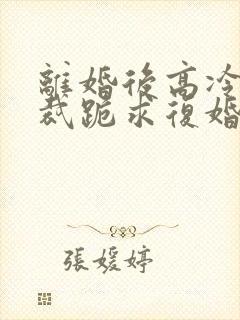 离婚后高冷女总裁跪求复婚