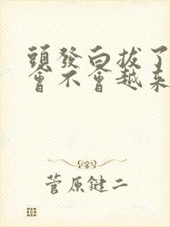 头发白拔了以后会不会越来越多封面