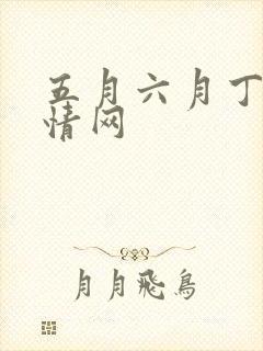 五月六月丁香激情网封面