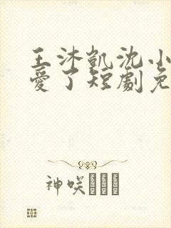 王沐凯沈小姐不爱了短剧免费播放封面