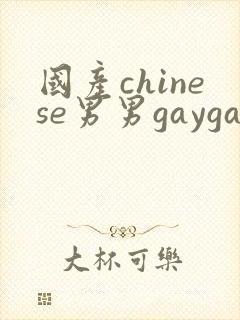 国产chinese男男gaygayvideo