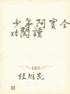 少年阿宾全文txt阅读