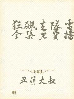 狂飙支队电视剧全集免费播放