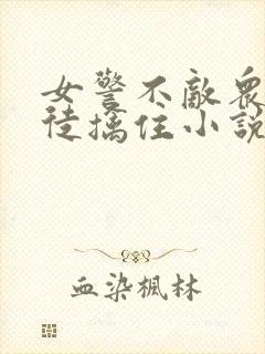 女警不敌众被歹徒擒住小说封面