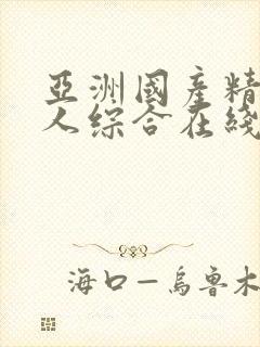 亚洲国产精品成人综合在线