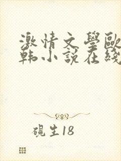 激情文学欧美日韩小说在线