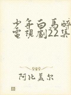 少年白马醉春风电视剧22集免费观看