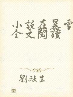 小说在暴雪时分全文阅读