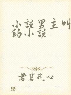 小说男主叫林然的小说