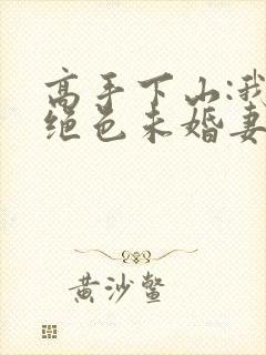 高手下山:我的绝色未婚妻全本阅读