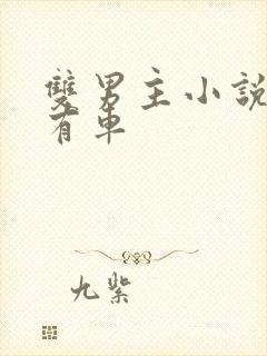 双男主小说推荐有车