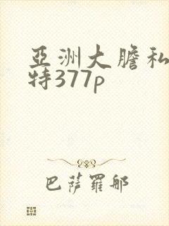 亚洲大胆私拍模特377p封面