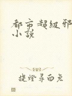 都市超级邪医 小说