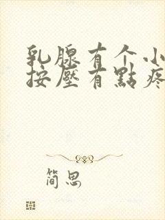 乳腺有个小疙瘩按压有点疼