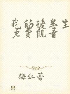 我的后半生全集免费观看